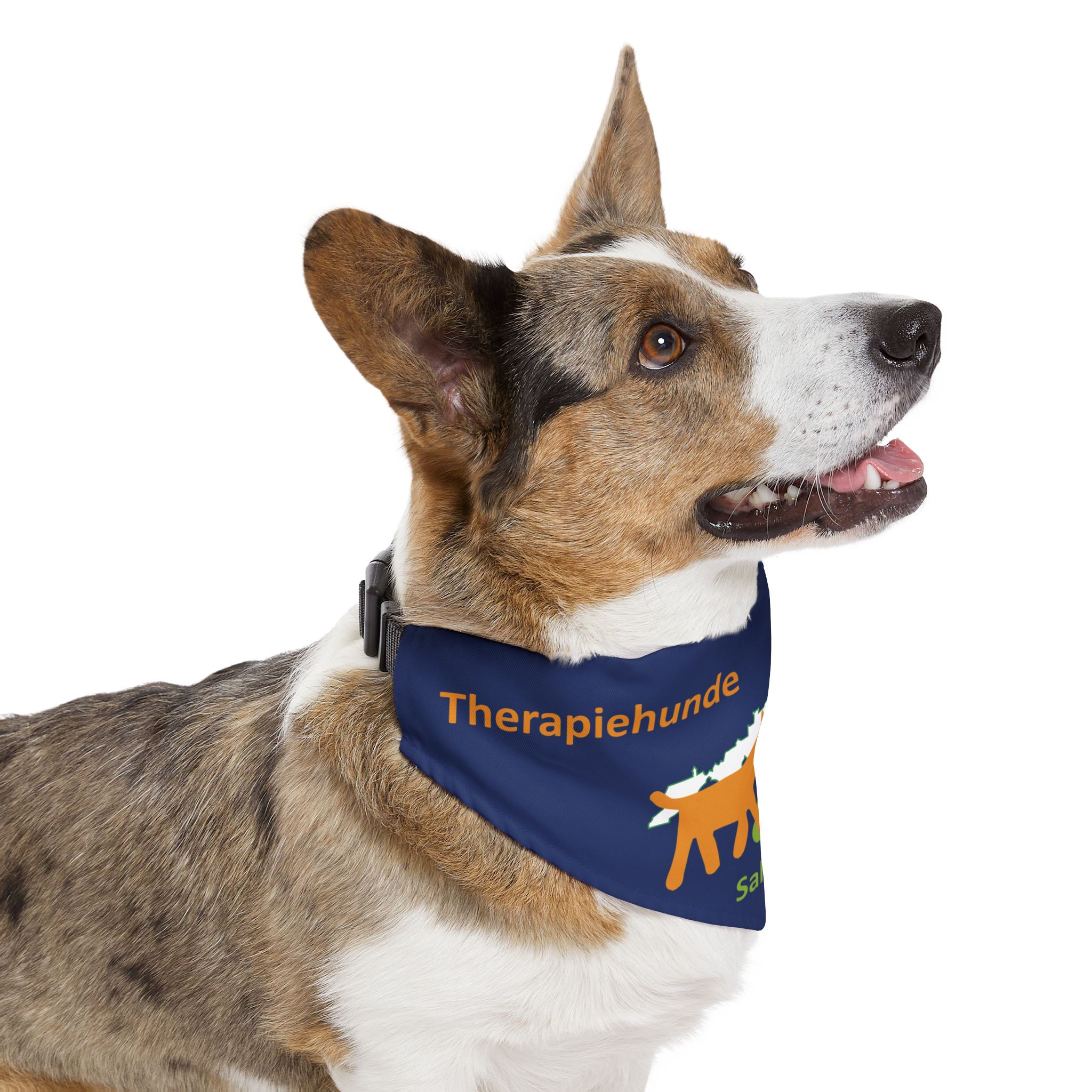 Therapiehunde Salzburg Bandana Navy Blue – Bild 11