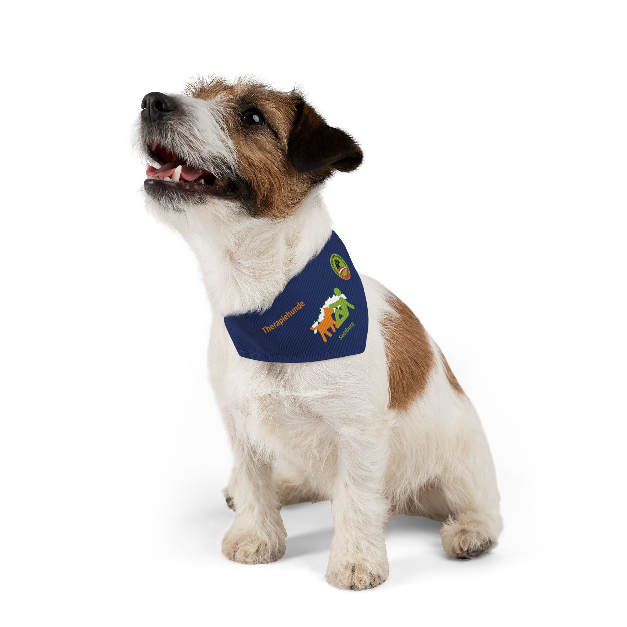 Therapiehunde Salzburg Bandana Navy Blue – Bild 7
