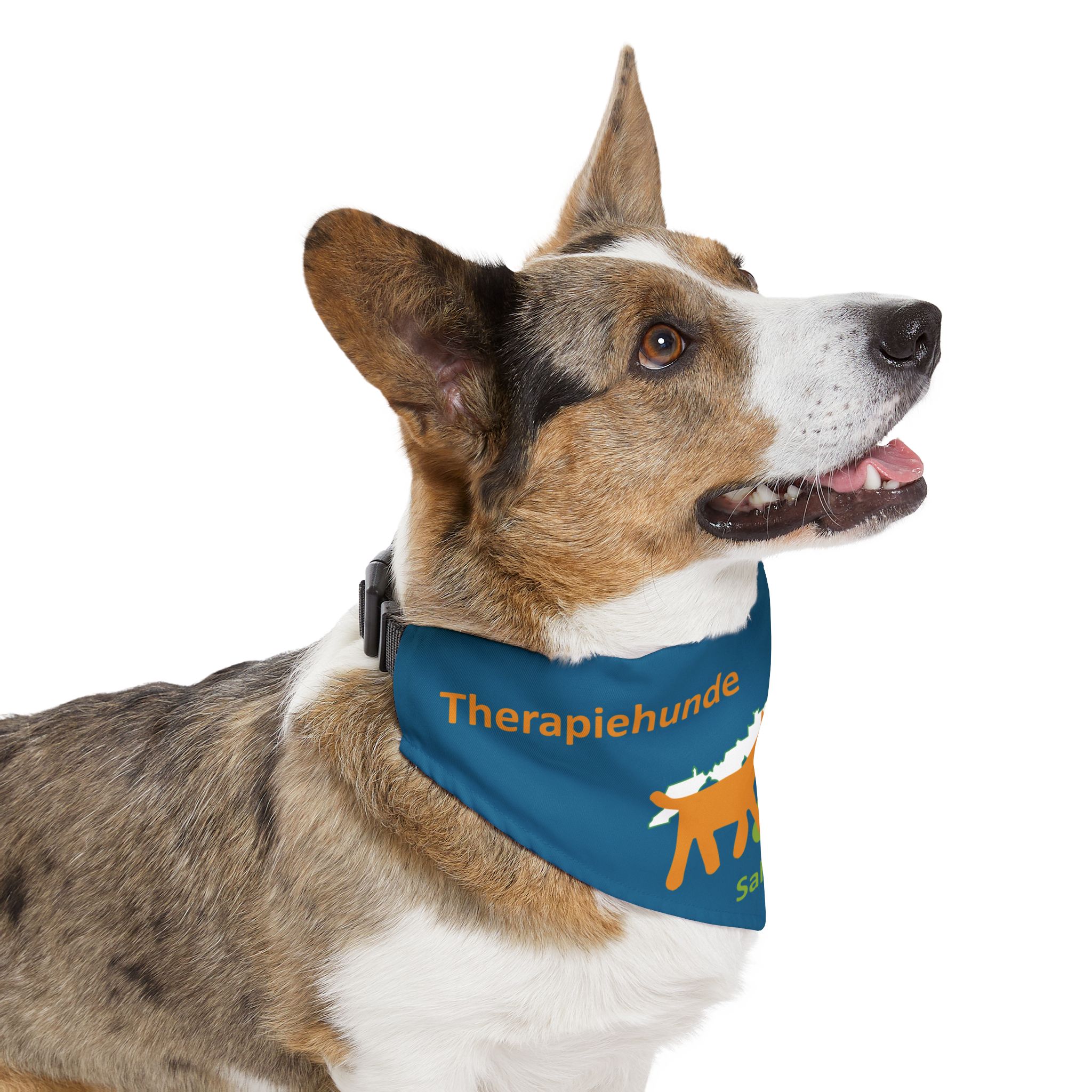 Therapiehunde Salzburg Bandana Sea Blue – Bild 11