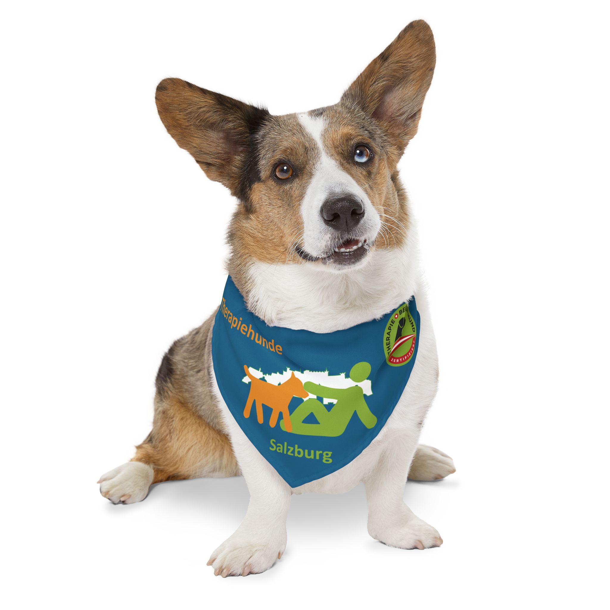 Therapiehunde Salzburg Bandana Sea Blue – Bild 10