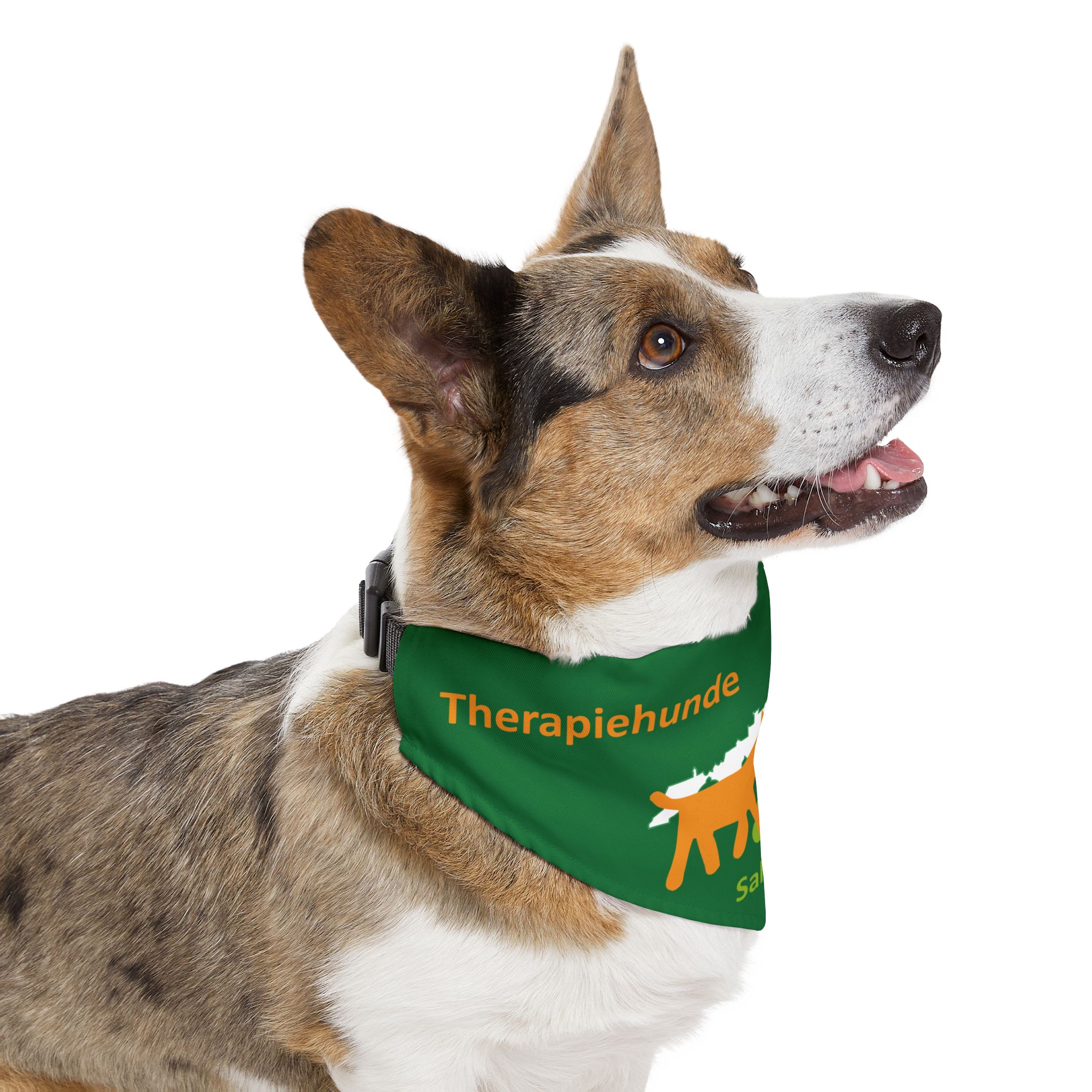 Therapiehunde Salzburg Bandana grün – Bild 11