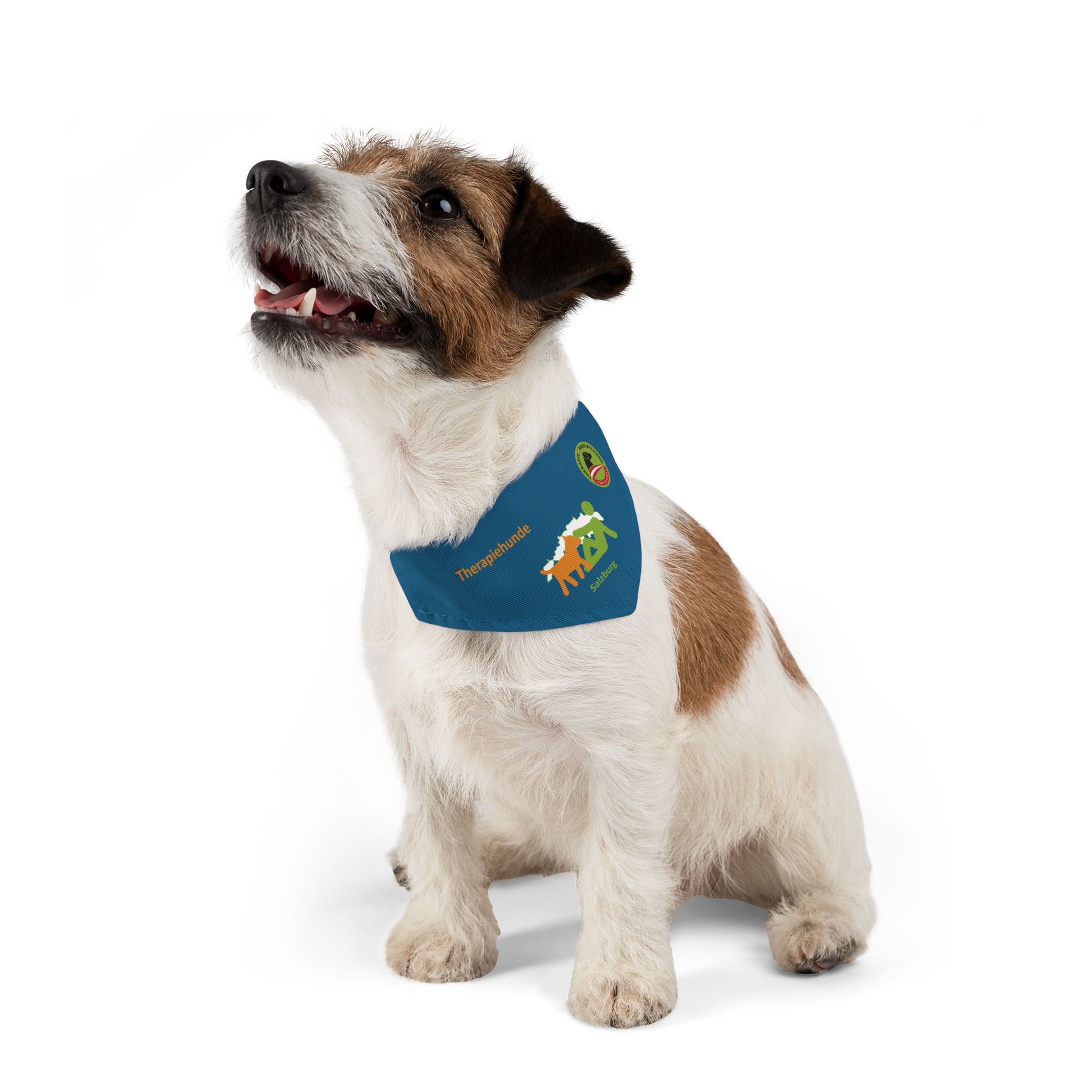 Therapiehunde Salzburg Bandana Sea Blue – Bild 7