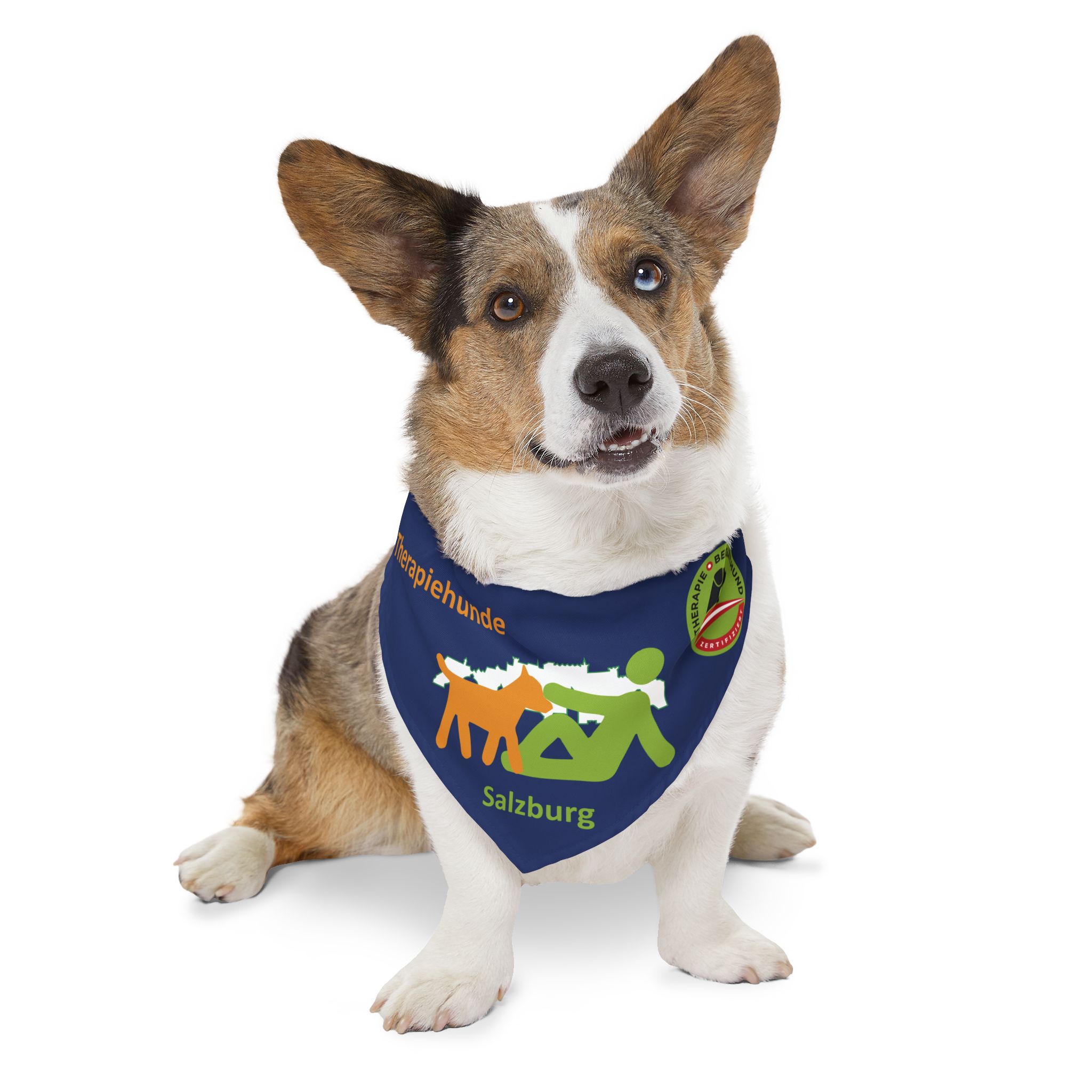 Therapiehunde Salzburg Bandana Navy Blue – Bild 10